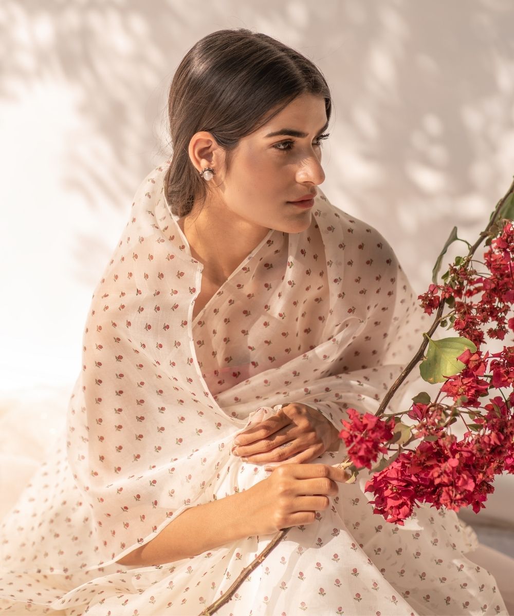 Elysian product image