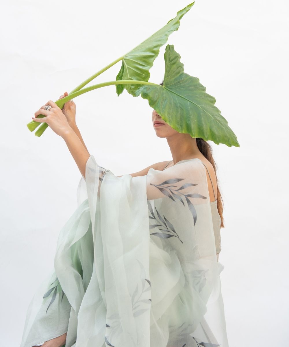 botany product image