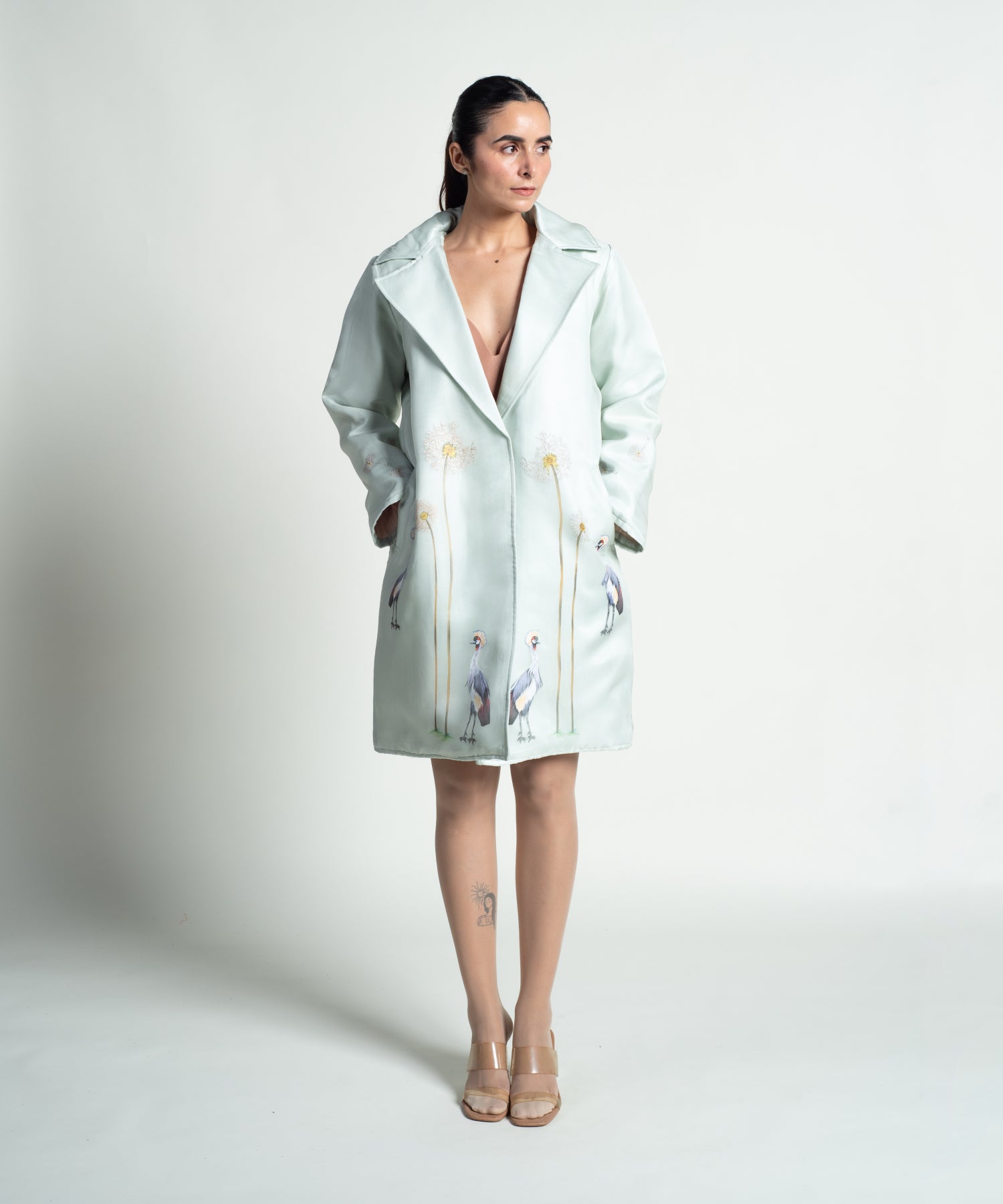 Dandelion Crowned Crane