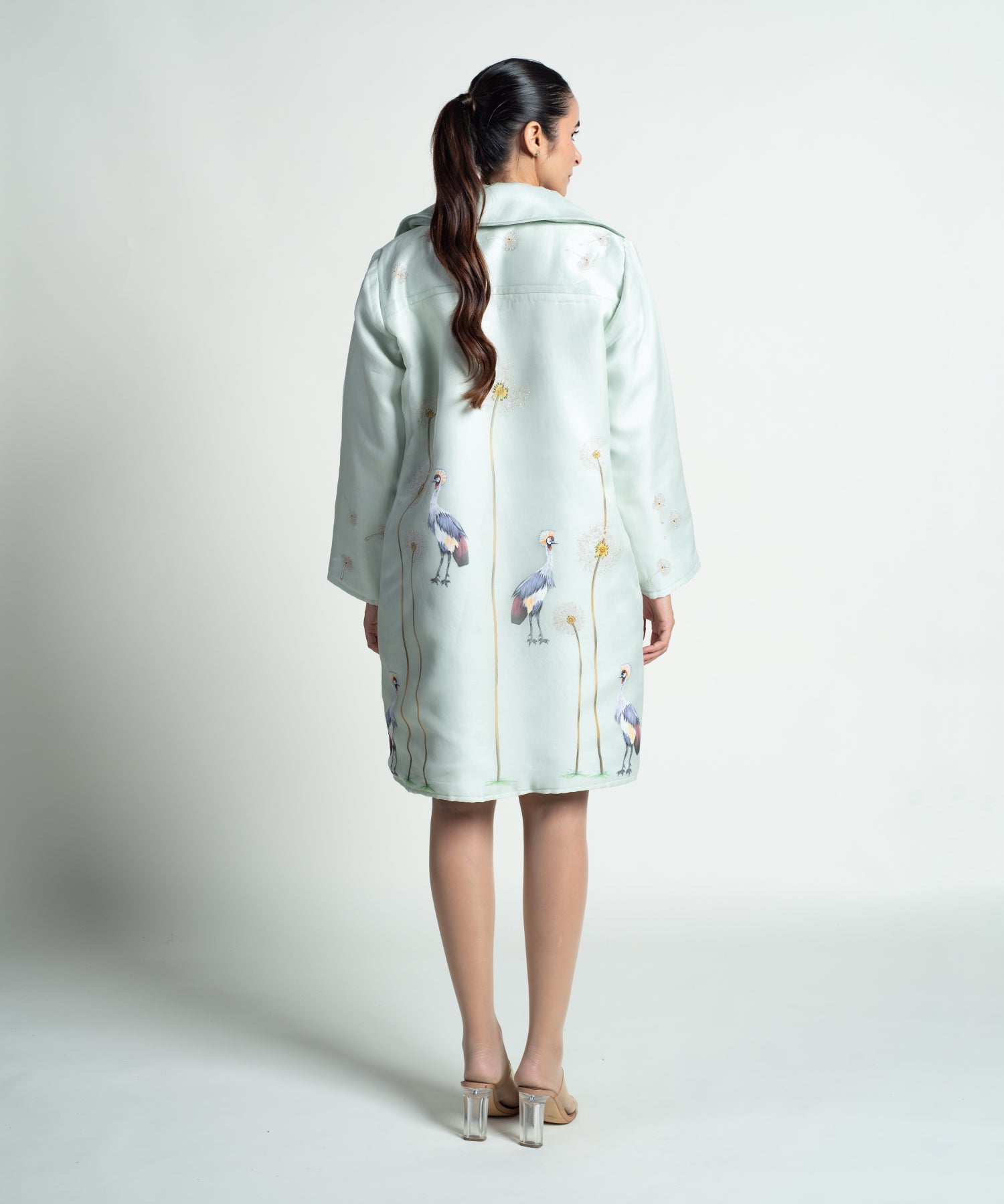 Dandelion Crowned Crane