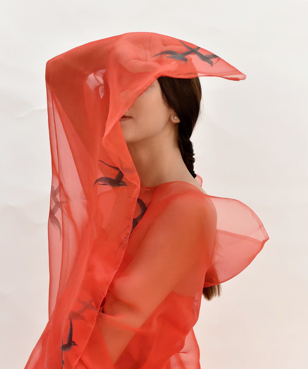 Silhouette sky red saree image 1