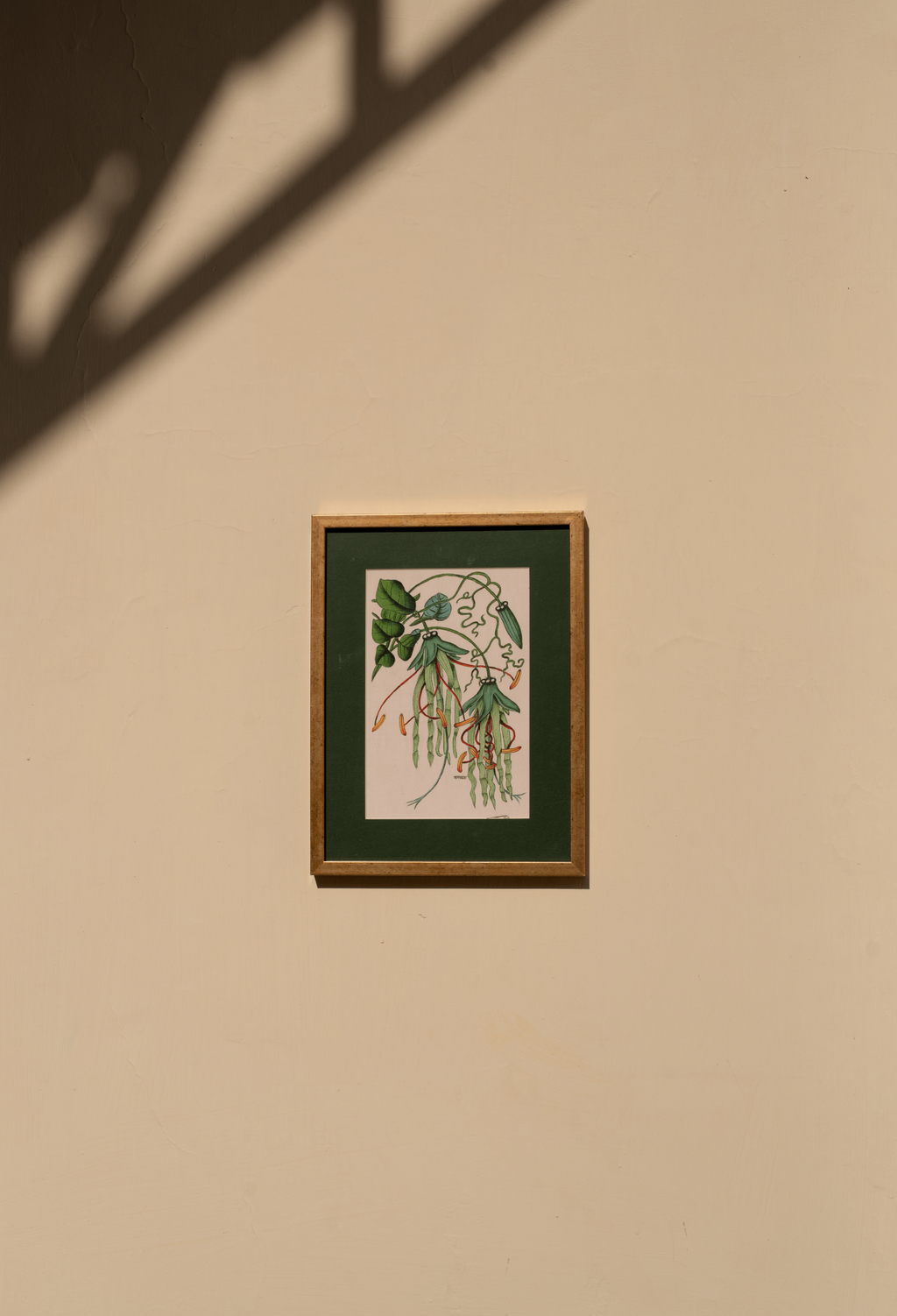 Green Harmony