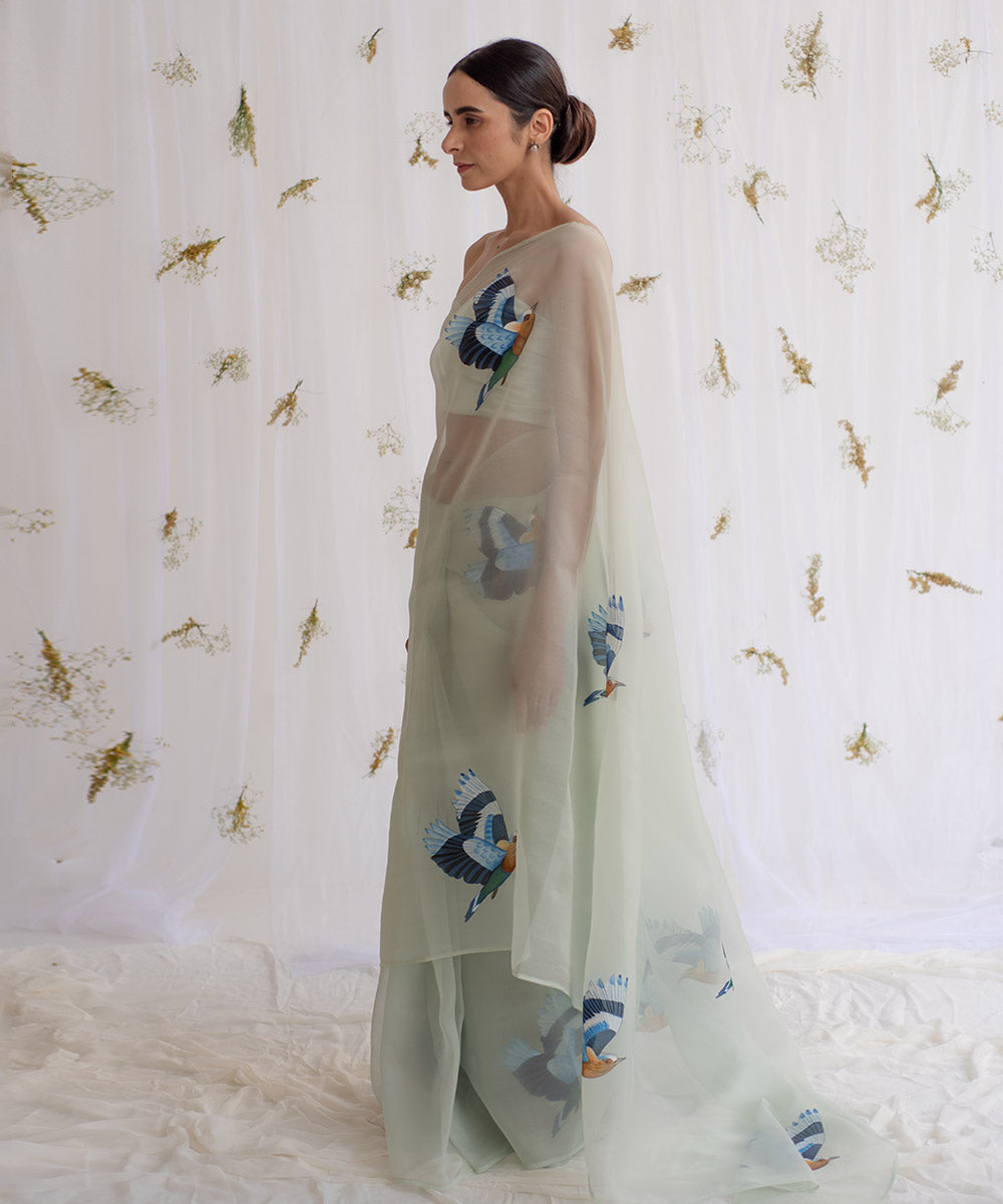 the indian roller product images 1